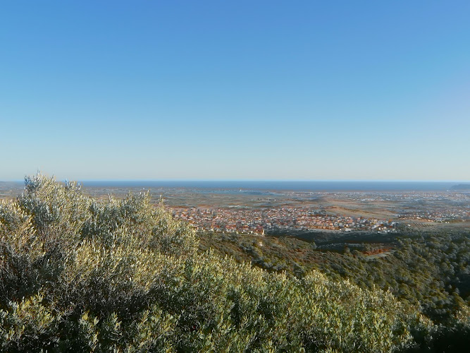 Punto panoramico di Bruncu Mogumu