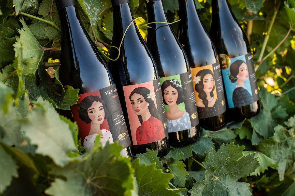 Baglio DiAr - I Vini Biologici Siciliani