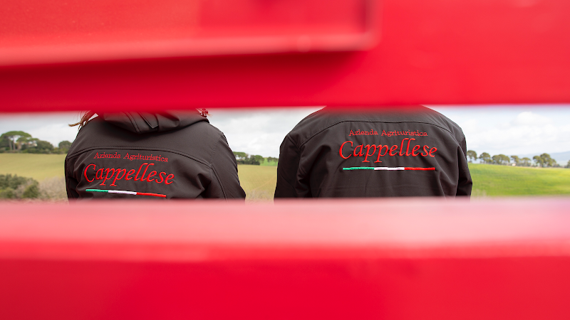 Panchina Gigante #192 Camaiano - Big Bench