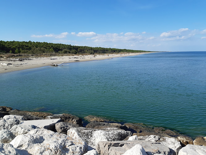 Spiaggia libera di Lido di Classe