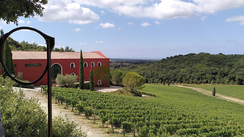 Caiarossa Srl Società Agricola
