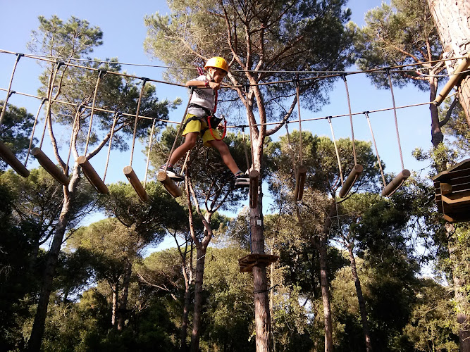 The Adventure Park Pineto