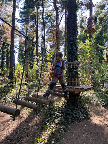 Monkey Park Arese - Parco Avventura vicino a Milano