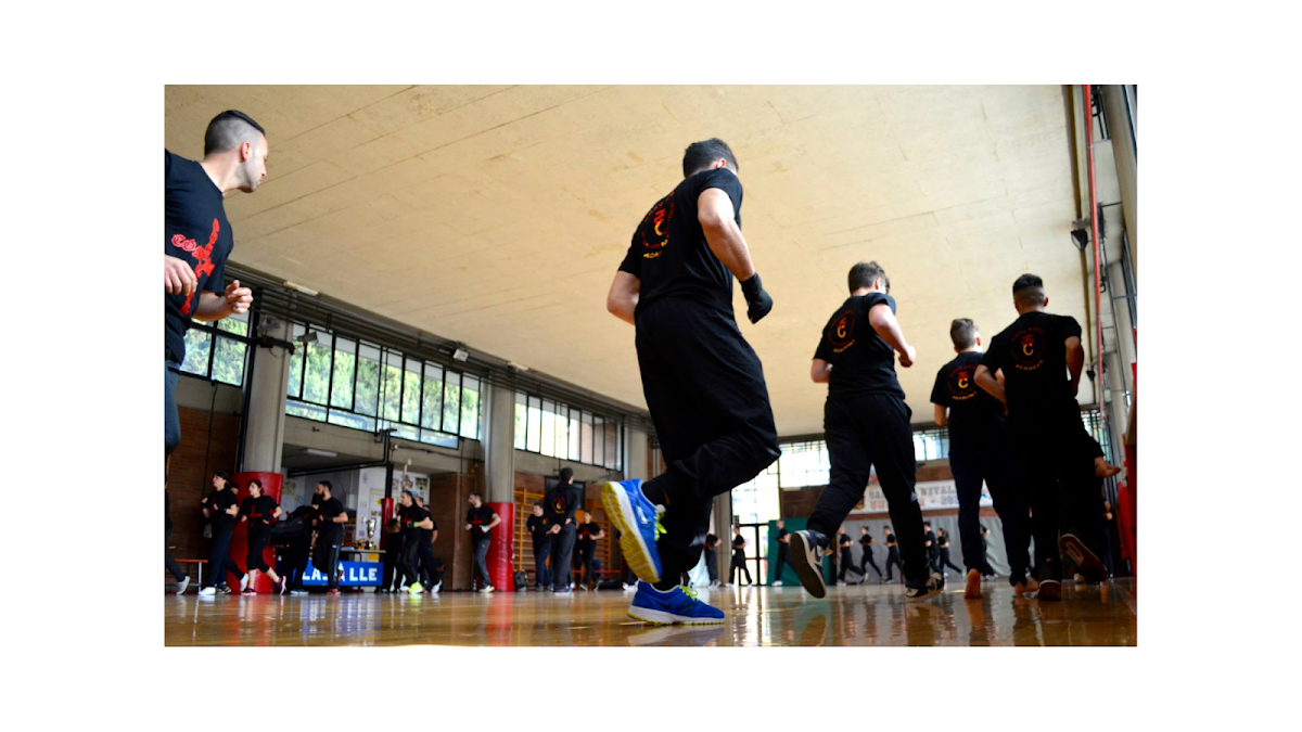 Special Combat Academy International