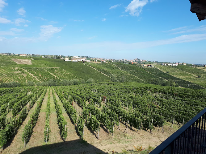 Azienda Vitivinicola Lusenti