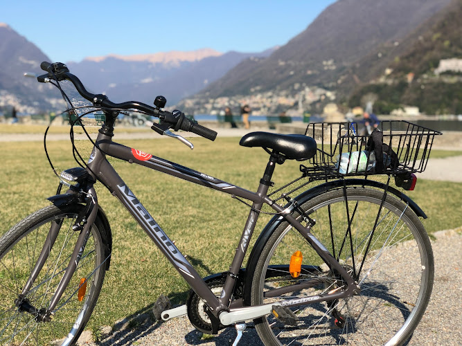 Como Rental Solutions