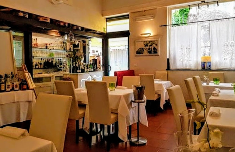 La Gabbianella E Il Matto