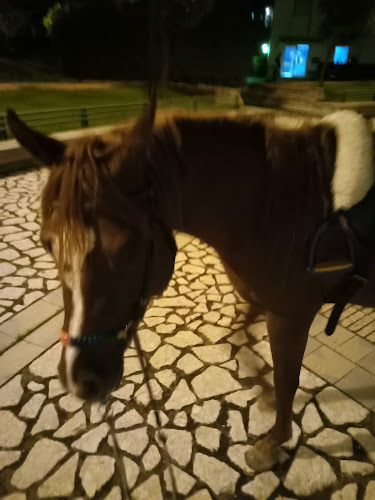 Piazza Don Giustino Russolillo