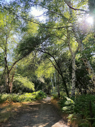 Monumento naturale Caldara di Manziana