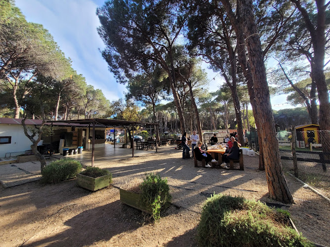Parco Avventura Pula
