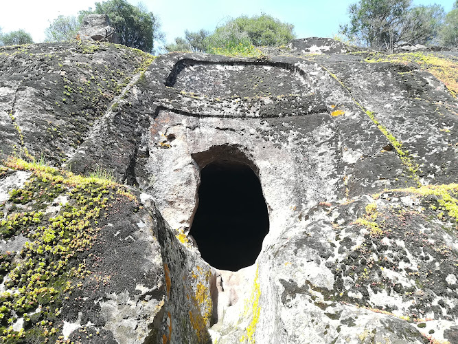 Ingresso sentiero per domus de janas Sos Furrighesos