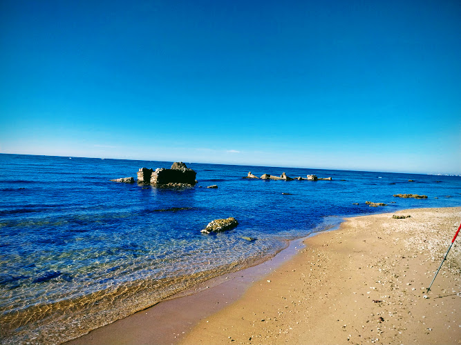 Riserva naturale di Macchiatonda